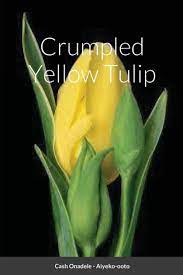Political power play in Onadele-Aiyeko-ooto’s ‘Crumpled Yellow Tulip’