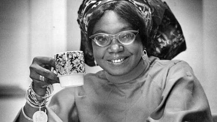 IWD: Paying homage to pioneering matriarchs of Nigerian literature
