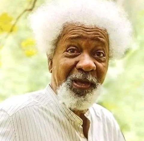 Soyinka@90: Africa I.D.E.N.T.I.T.Y ‘Poetry Meets Music’ berths in Paris, others