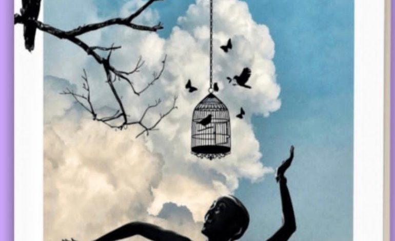 Identity and femininity in Adeyemi’s ‘Symphony of a Blackbird’