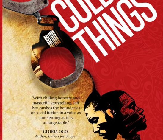Iwu’s ‘Cold Things’: A haunting testimony of familial trauma, survival, redemption in postcolonial Nigeria